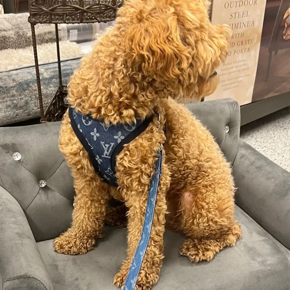 Stylish LV Doggie Harness Set - Picture 6 of 10